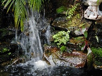 800x600 pixels (122.2K)