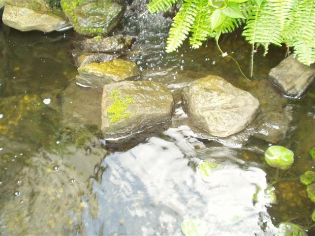 Image 1 of 28  -  57 kB
