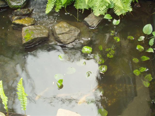 Image 11 of 28  -  44 kB